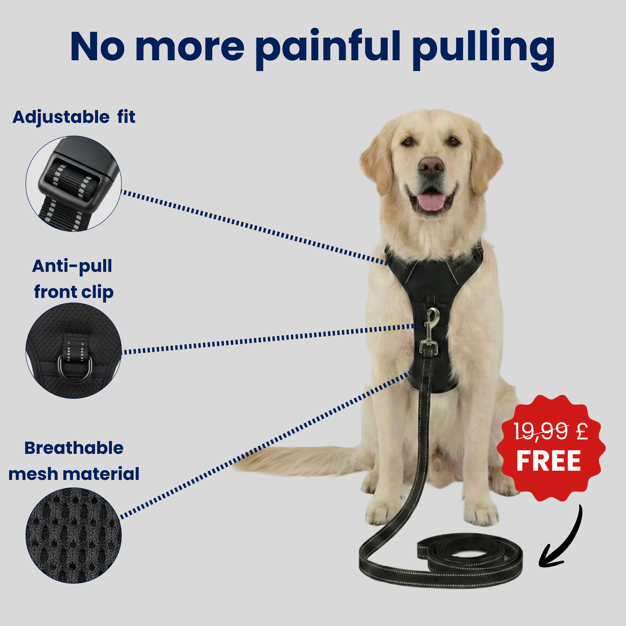 No-pull harness